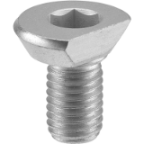 AMF 6387 - Eccentric clamping bolt