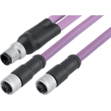 Male duo connector M12 x 1 – 2 female cable connectors M12 x 1, PROFIBUS